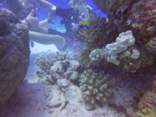 t/sdcard/DCIM/100GOPRO/GOPR0024