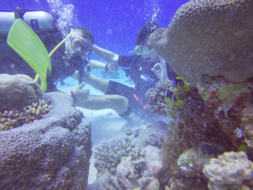 t/sdcard/DCIM/100GOPRO/GOPR0023