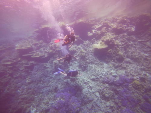 t/sdcard/DCIM/100GOPRO/GOPR0033