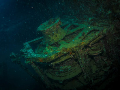 NIGHT/LIMITED VISIBILITY DIVER - Image 5