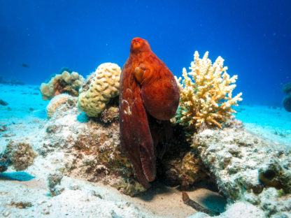 Intro - Image 5